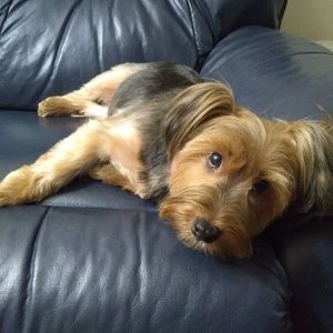 Meet your Posher, Barbara